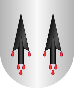 ESCUDO ALEATORIO